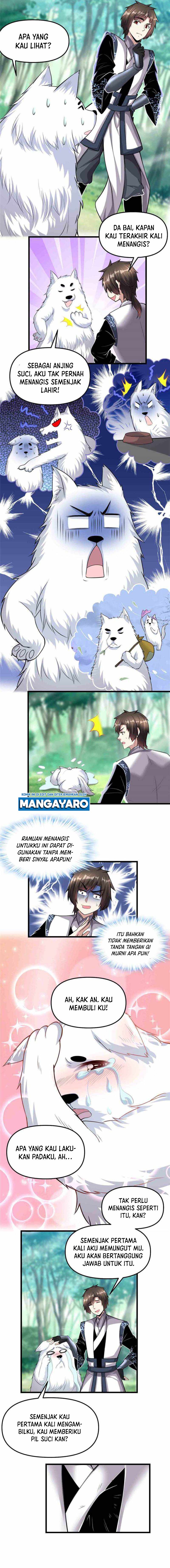 I Might Be A Fake Cultivator Chapter 231 Gambar 3